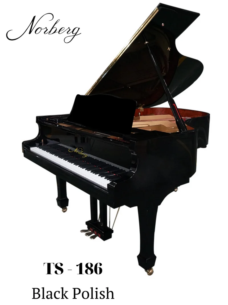 TS-186 · For the serious pianist, complete catalogue photograph